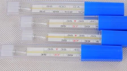 Termometro Clinico Mercurio Ospedale Vetro Farmacia Mercurio